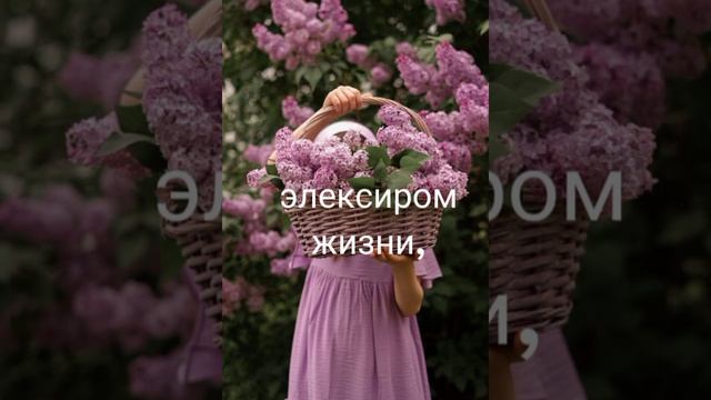 Элексир жизни.Стих.