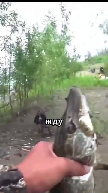 Суровая Якутская Щука🎣