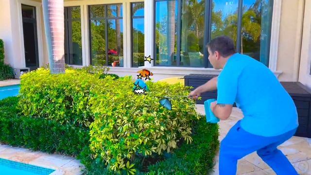 Настя вместе с папой учит названия насекомых. История для детей