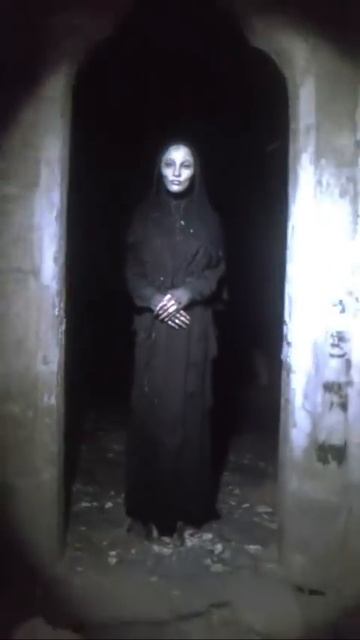 Архив Швеца