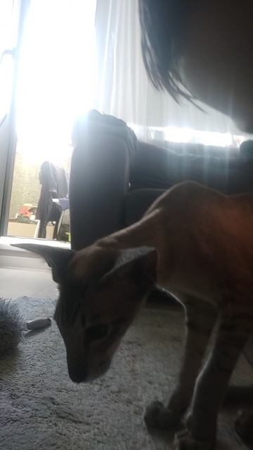 пожалуйста лайк и подписка