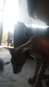 пожалуйста лайк и подписка