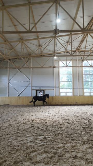 Оксана Новикова и Дольче Вита, выездные старты, Нижегородский конный праздник, разминка на рыси.
