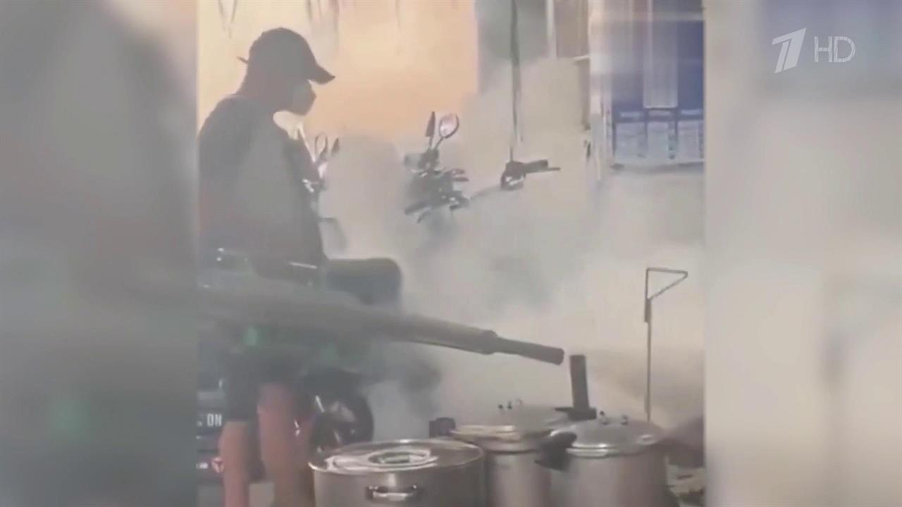 На юге Китая ввели ограничения из-за вируса чикунгунья