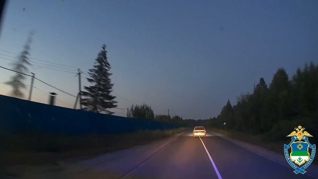 В Княжпогостском районе Госавтоинспекторы применили огнестрельное оружие для задержания нетрезвого