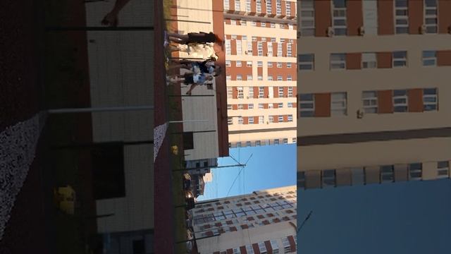 играем в пионер бол