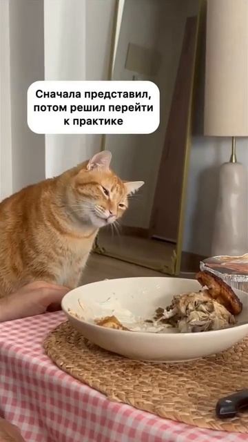 Бесконтактная трапеза😂