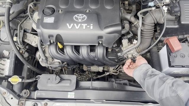 share NZE124-5004474