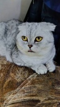 Не трогай меня!!!