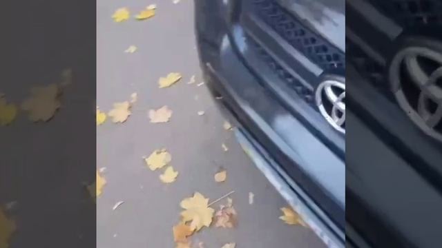 Неожиданная находка.