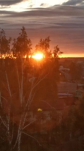 #Картина маслом