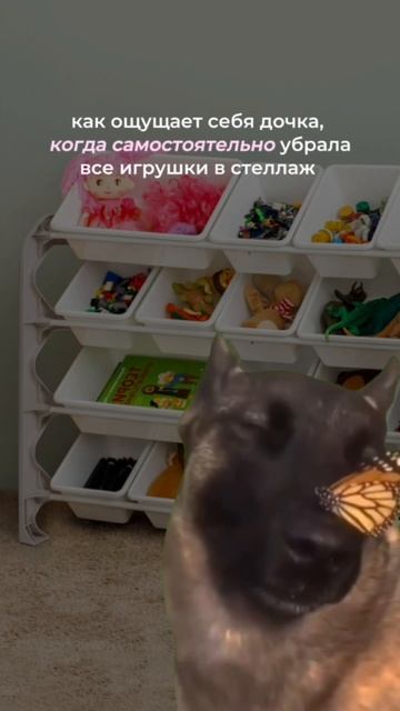 ДЕТСКИЙ СТЕЛЛАЖ ОТ KIDWICK