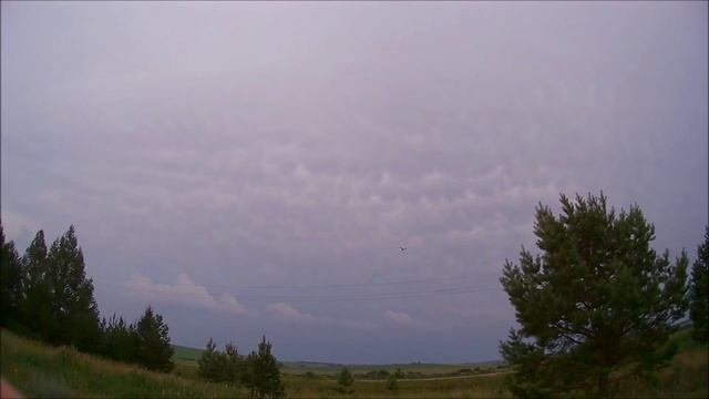 ВАЛЬДШНЕП отводит от гнезда