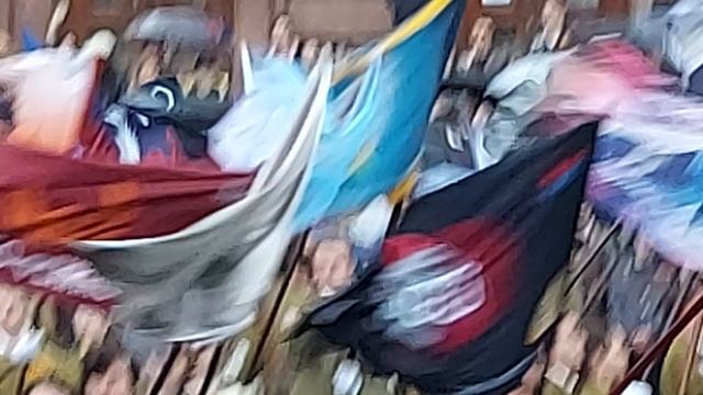 Флаги Московского городского студенческого отряда.