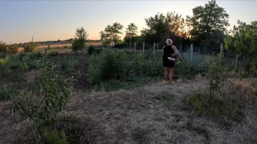 Наталья Губарева. РАБОТА ПОЛНЫМ ХОДОМ...