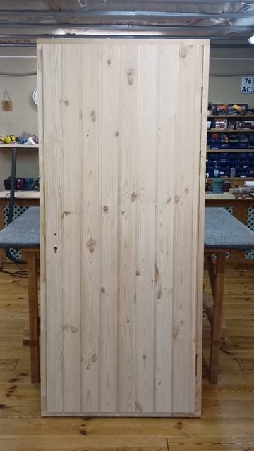 дверь в Рязань 196*86