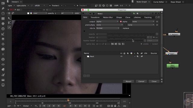 05 - Wrinkle, Blemish, and Imperfections Removal - 2D Tracking and Roto for Her Face