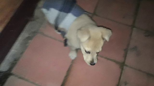 25й год Берта маленькая бегает