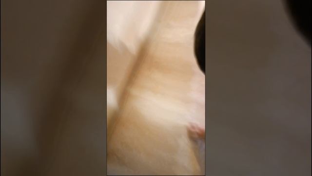 апокалипсис брейнротов 4 серия