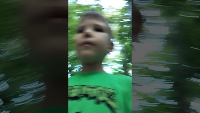 Для детей про животных