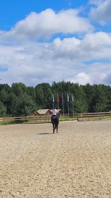 Оксана Новикова и Дольче Вита, выездные старты, Нижегородский конный праздник, полупируэт.