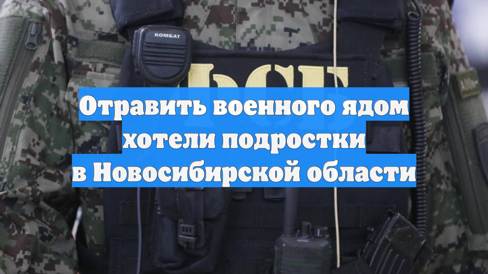 Отравить военного ядом хотели подростки в Новосибирской области