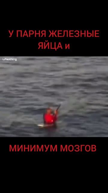 СЁРФИНГ \ SURFING #интеллект #courage #ironballs #акулы #сёрфинг #surfing #sharks #funny #cool