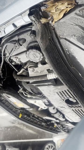 share 246242-WDD2462422J210316