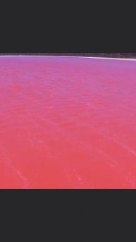 Озеро Хиллиер.Австралия.