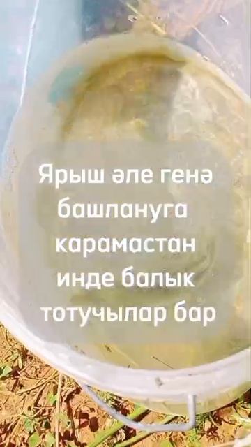 Дуслык урамы янәшәсендә урнашкан күлдә балыкчылар ярышы башланып китте.