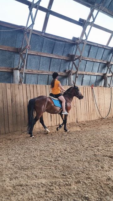 Екатерина на Аквилоне продолжает старательно учится ехать рысью в манеже.