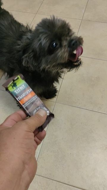 Привез запас продуктов и маленькую вкусняшку Тайфунчику.