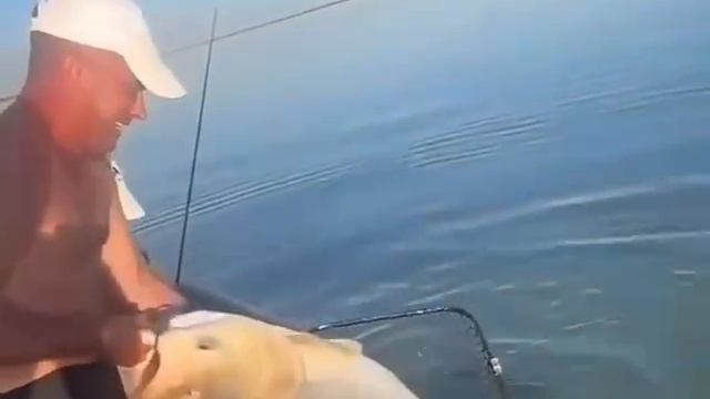 Отличный Трофей 🎣