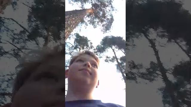 лагерь