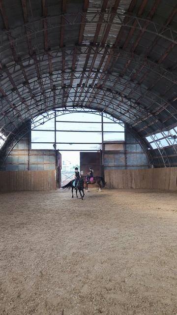 Даша и Наоми, подготовка к стартам, ППДБ два полувольта.