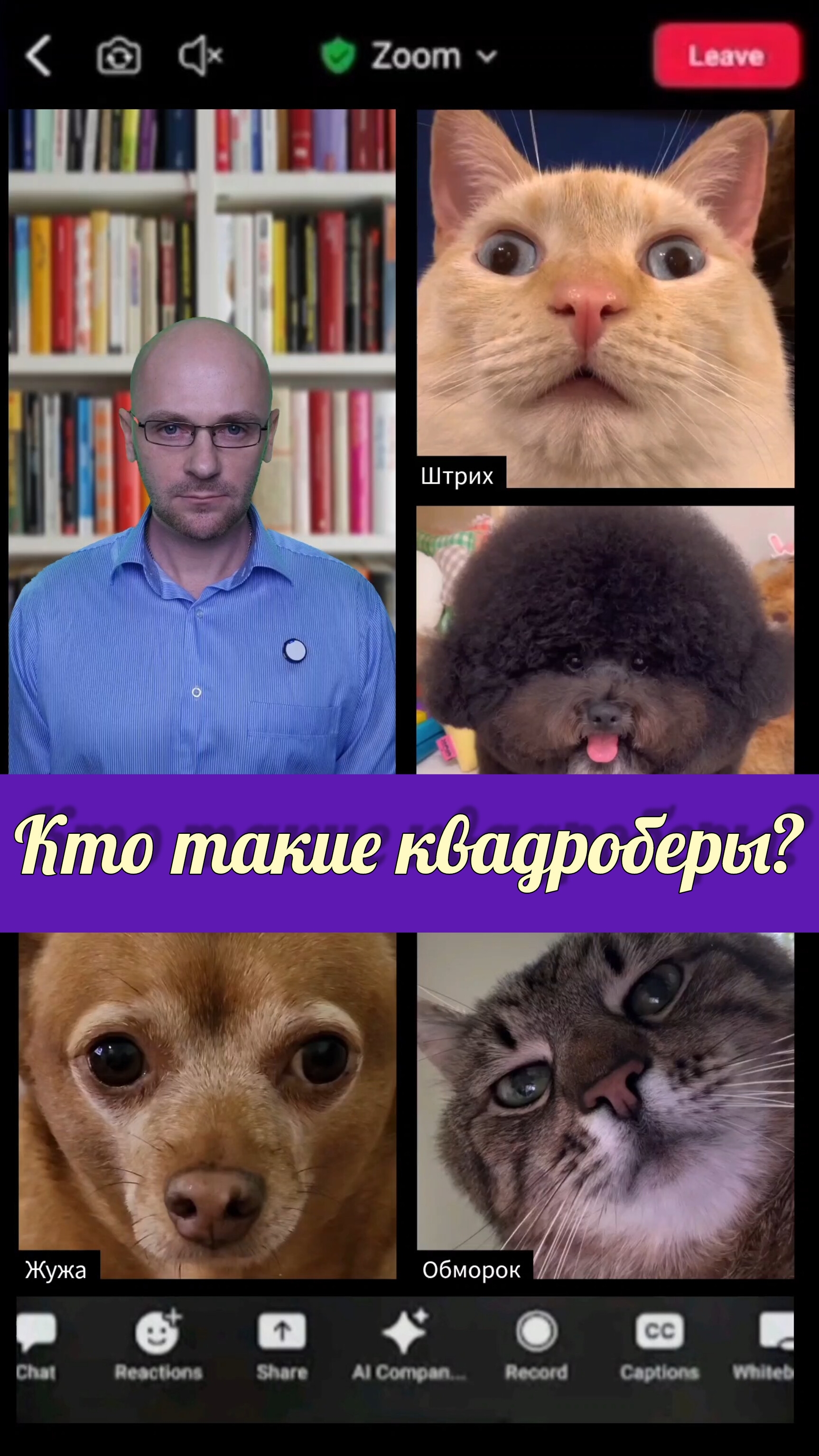 Кто такие квадроберы?