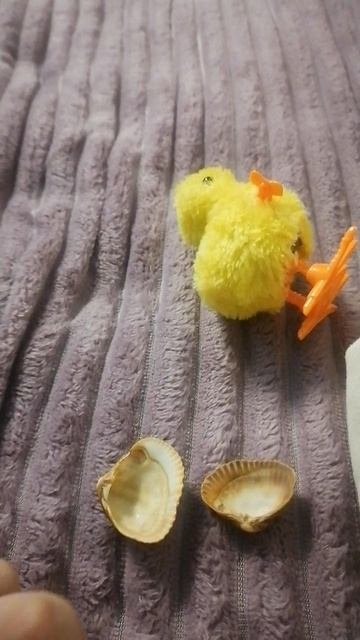 обзор 💕🐤