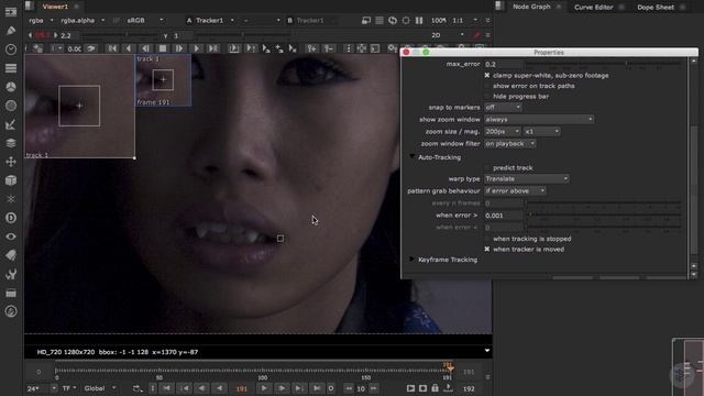 04 - Course Introduction and Prepping Our Plate - Tracking - Planar and 2D