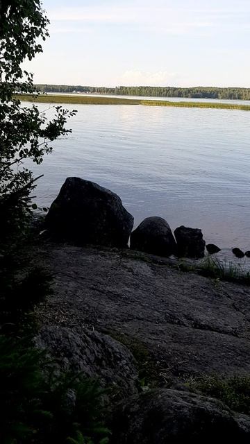 На заливе #босерон_питбуль #собаки #прогулка #МэниГуля #природа