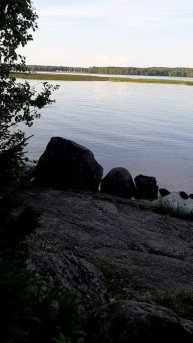 На заливе #босерон_питбуль #собаки #прогулка #МэниГуля #природа