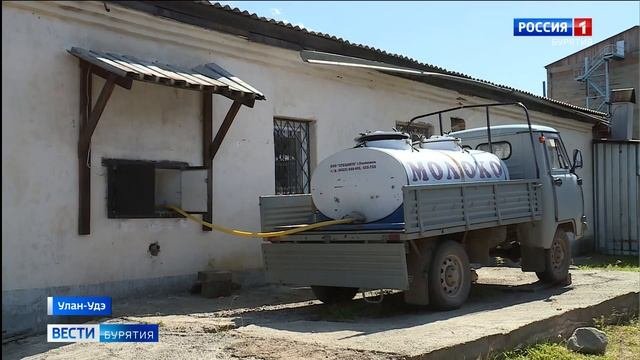 Бурятские учёные испытывают новый биостимулятор для пшеницы