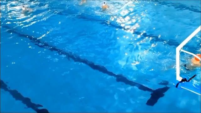 Водное поло water polo Торпедо