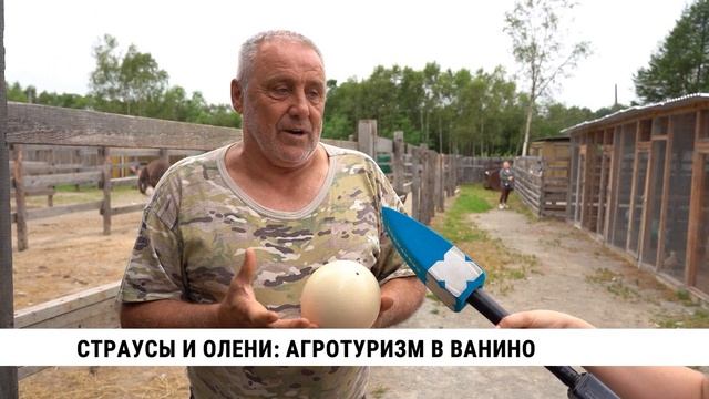 Страусы и олени: агротуризм в Ванино