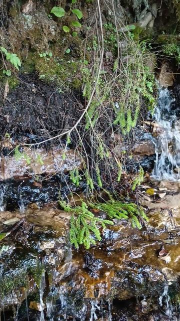 Подземная река