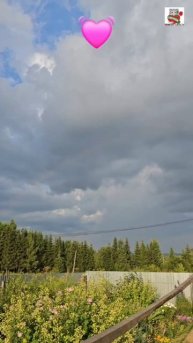 Пискунчик зажёг в небе радугу и загадал желание 🌞🌈💓🙏😻