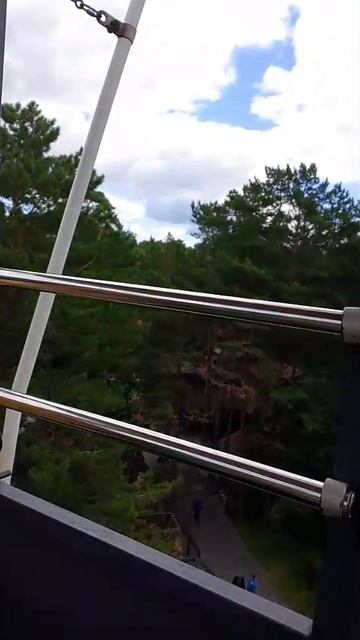 На чертовом колёсе в зоопарке 4.08.25