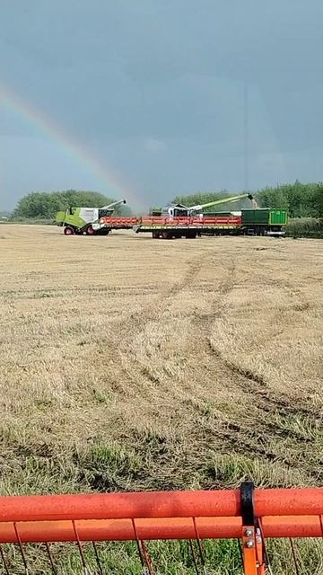 7 августа 2025