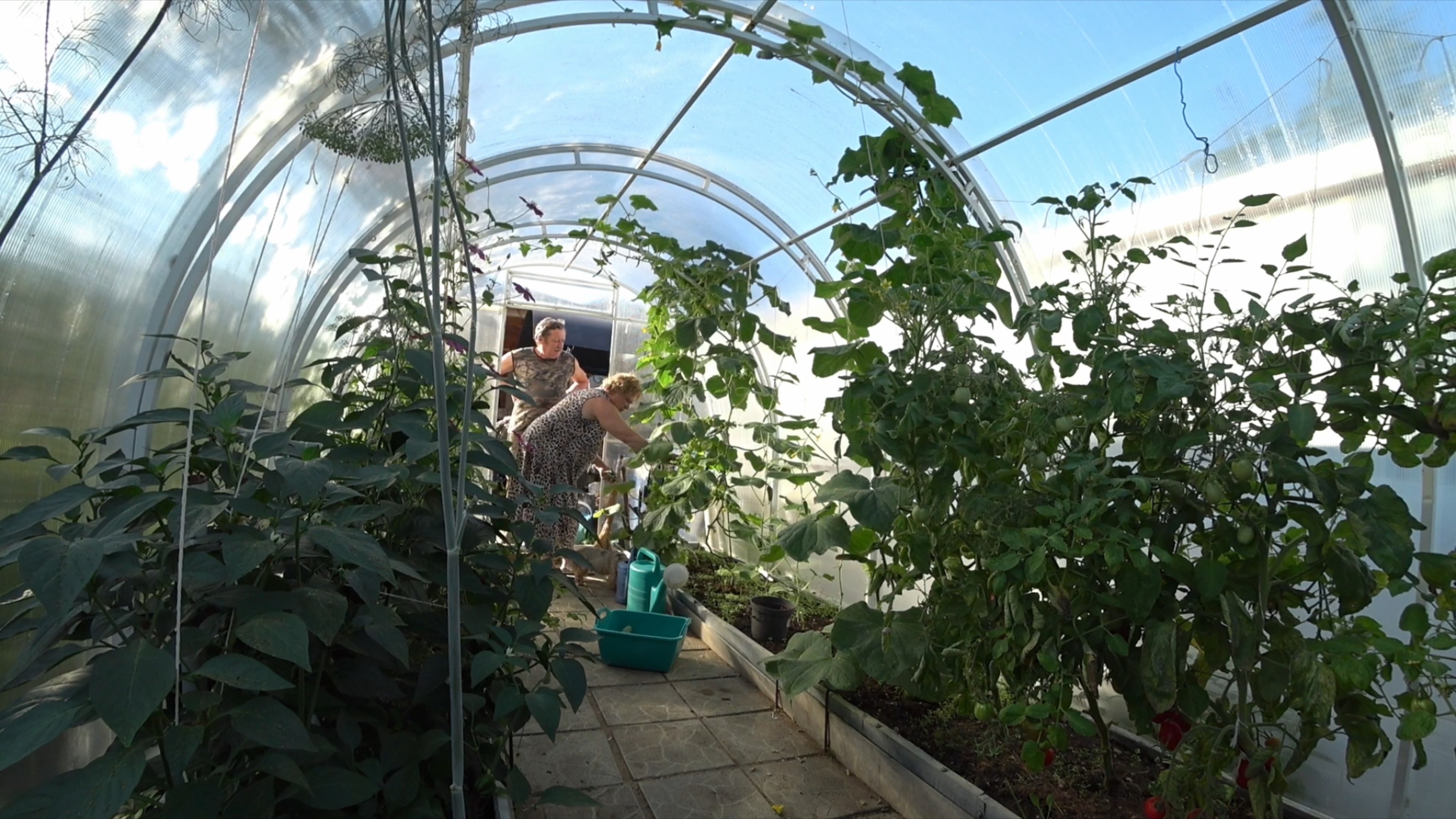 Уродился урожай.