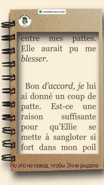 Дневник кота-убийцы, аудиокнига на французском языке, глава 1