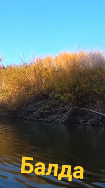 Ловим Окуня 🎣